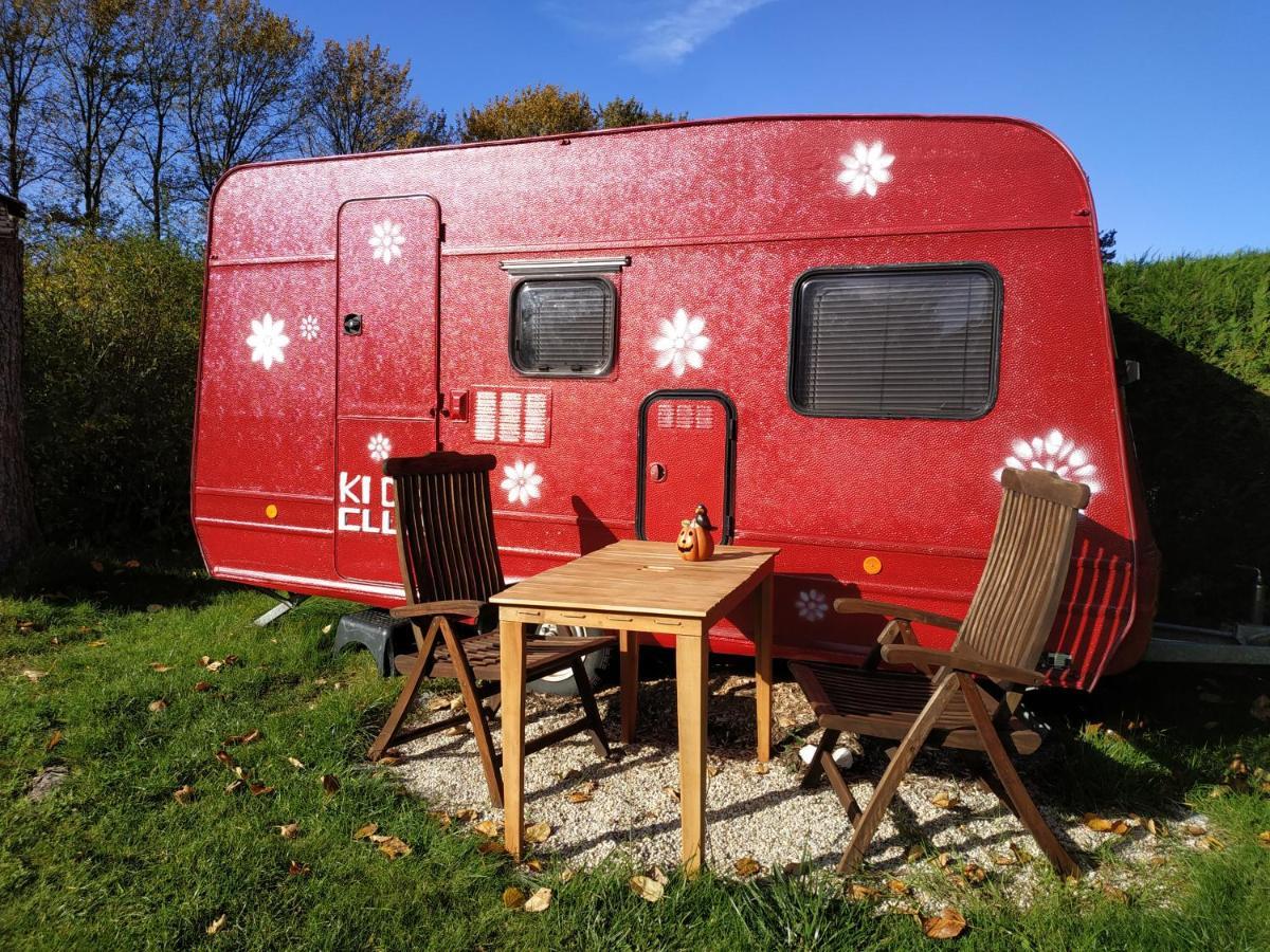 Projekt Ferienhaus Am See Inkl. W-Lan, Betwaesche Und Netflix Jurgenshagen Extérieur photo